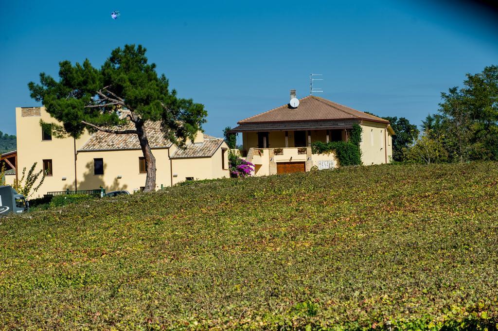 Masseria Del Vino Loreto Aprutino Buitenkant foto
