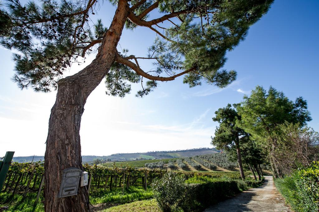 Masseria Del Vino Loreto Aprutino Buitenkant foto