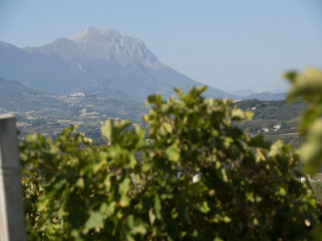 Masseria Del Vino Loreto Aprutino Buitenkant foto