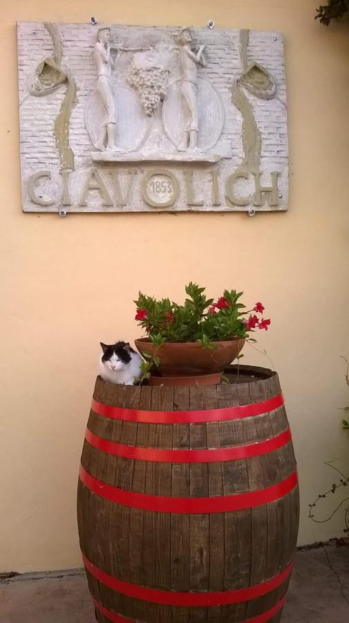 Masseria Del Vino Loreto Aprutino Buitenkant foto