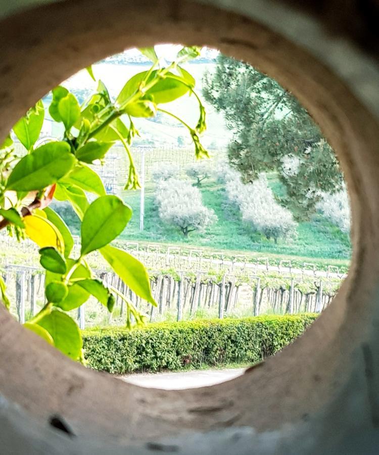 Masseria Del Vino Loreto Aprutino Buitenkant foto