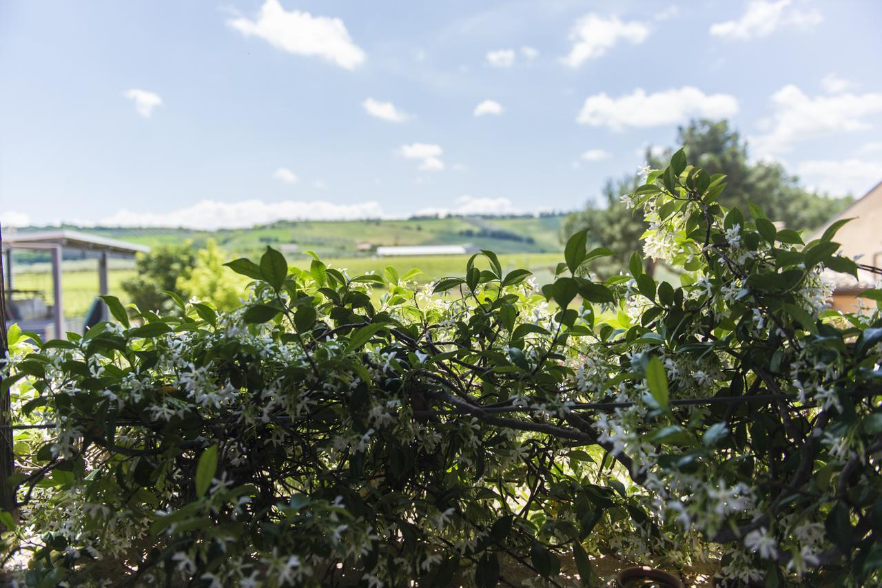 Masseria Del Vino Loreto Aprutino Buitenkant foto