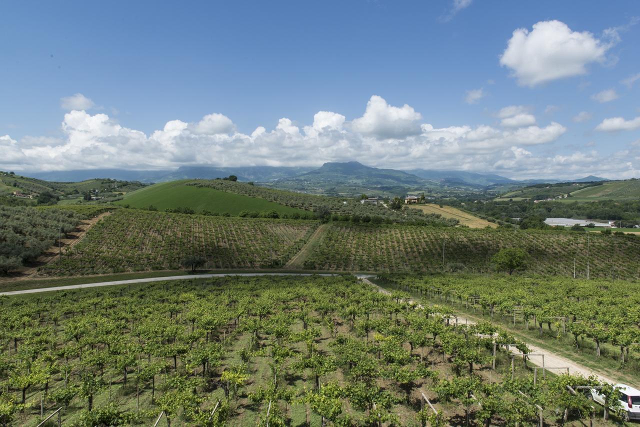Masseria Del Vino Loreto Aprutino Buitenkant foto